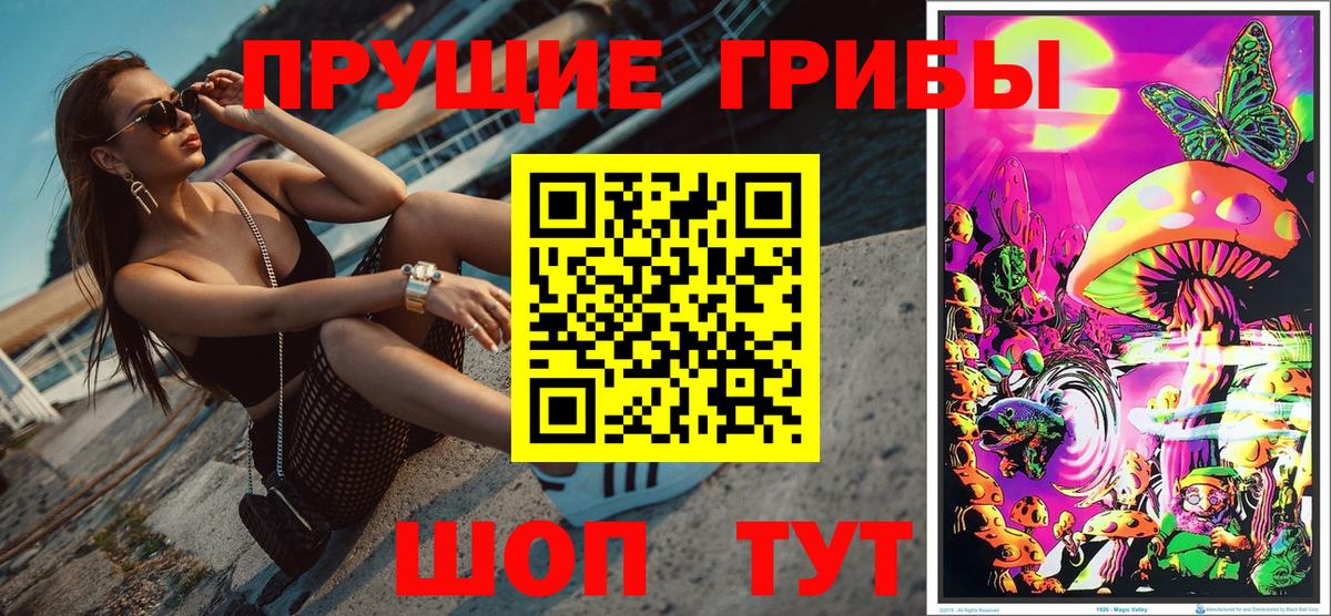 Буйнакск  Псилоцибиновые грибы мухоморы  Вход с VPN 